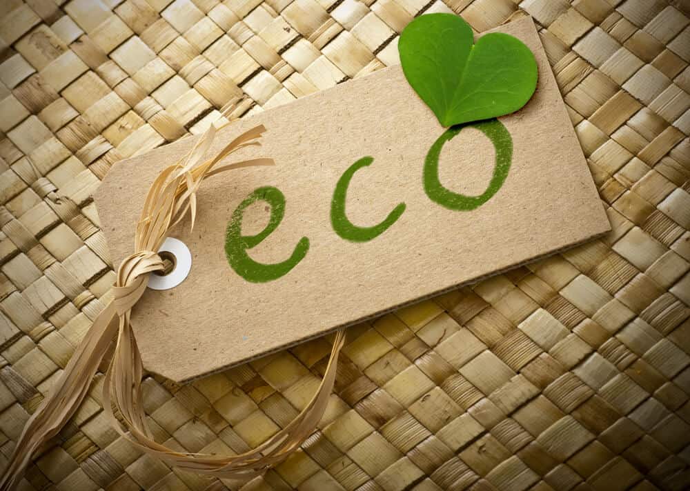 Does Eco Friendly Mean Non Toxic Thinking Sustainably