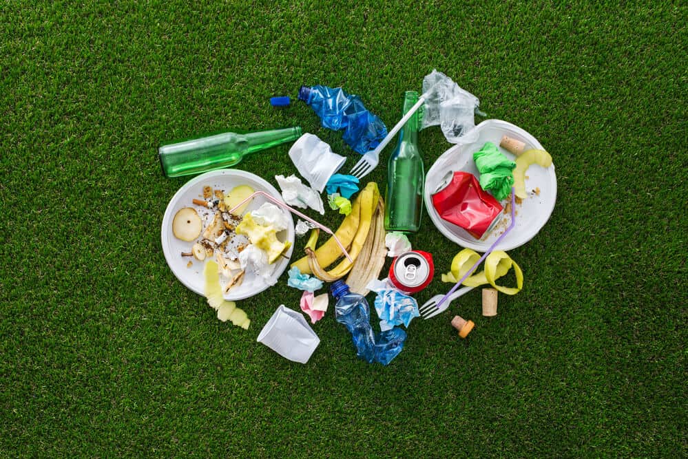 Is It Littering If It's Biodegradable? Thinking Sustainably